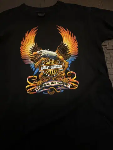 HARLEY-DAVIDSON 이글 T셔츠 M