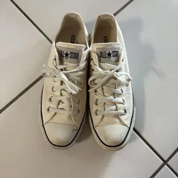 컨버스 캔버스 올스타 OX 화이트 US5 ALL STAR