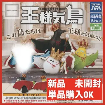 왕관앵무 까마귀 시마연가 잉꼬