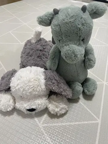제리캣 세트 판매 드래곤 & 도그