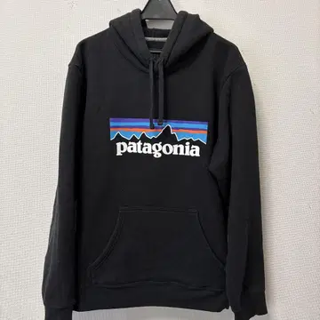 patagonia 블랙 후디