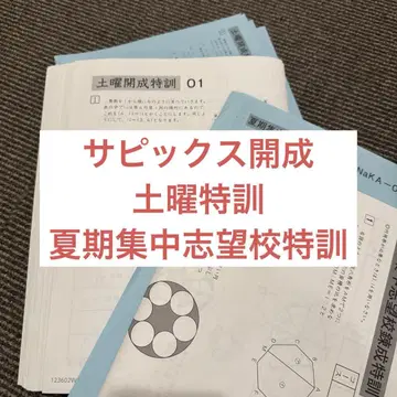사피 가이세이 대책 토요일 특훈 여름 집중