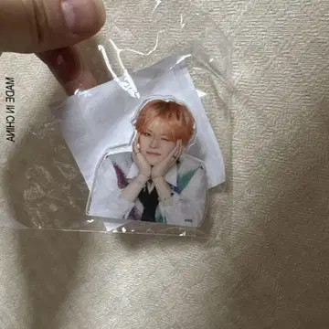 treasure 요시 군 세트