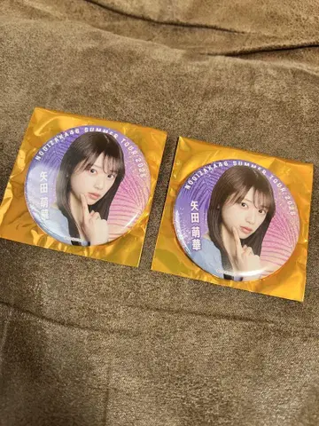 사카미치 시리즈 노기자카46 야타 모에카 핀 배지 2개 세트