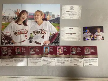 헤이세이 플라밍고 라쿠텐 이글스 카드 컴프 세트