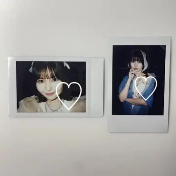 돈치키 사키나 폴라로이드 14