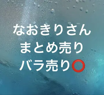 나오키리 씨 묶음 판매