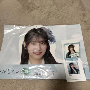 카니사와 모에코 C상 E상