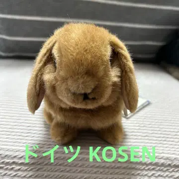 KOSEN  늘어진 귀 토끼 새끼 브라운