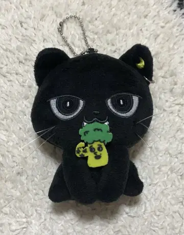 야기 유세이 멘프로 쿠위