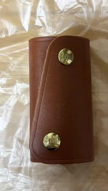 일비종떼 키케이스