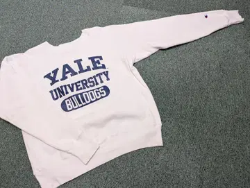 Champion Yale University Bulldogs
