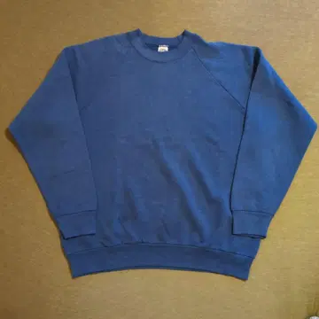 빈티지 맨투맨 프룻 오브 더 룸 90s 무지 USA제 빈티지