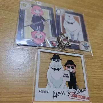 스파이 패밀리 타워 레코드 키링 덤 포함