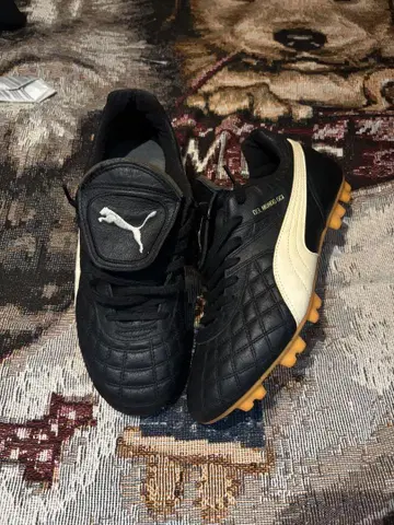 PUMA DEL MUNDO GCI 26cm