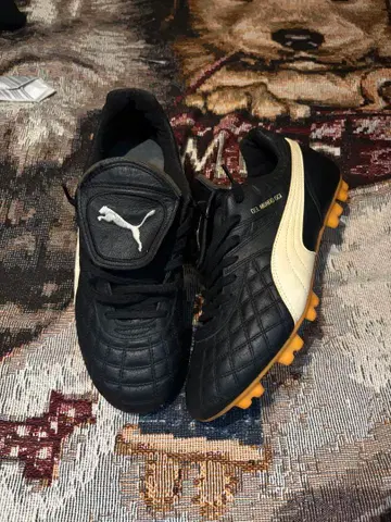 PUMA DEL MUNDO GCI 26cm