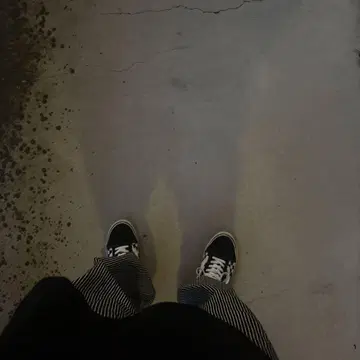 VANS 올드스쿨 체크 무늬