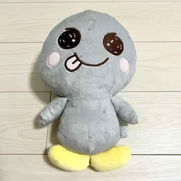 RIIZE RIIZING DAY MD 40cm 인형 은석 소영돌이