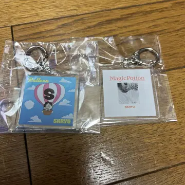 SKRYU 가챠가챠 키링