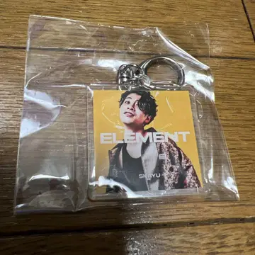 SKRYU 가챠가챠 키링