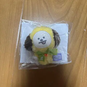BT21 CHIMMY 치미 봉제 인형 마스코트 5주년 아트전