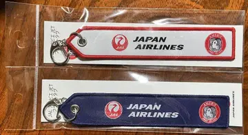 일본항공 JAL 플라이트 택 아마비에 JET 보잉 767 300ER