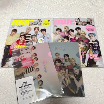 StrayKids 스키즈 mini 잡지 빠짐없이 부록 B5 클리어 파일