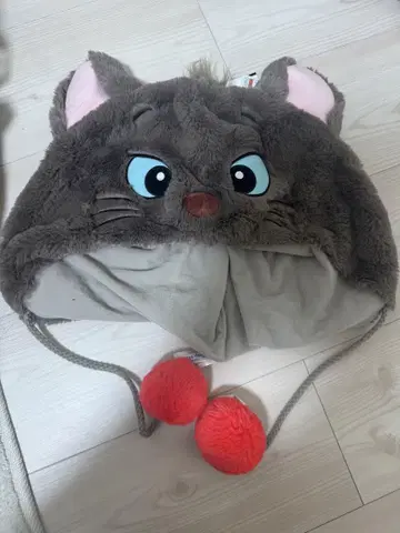 디즈니 팬 캡