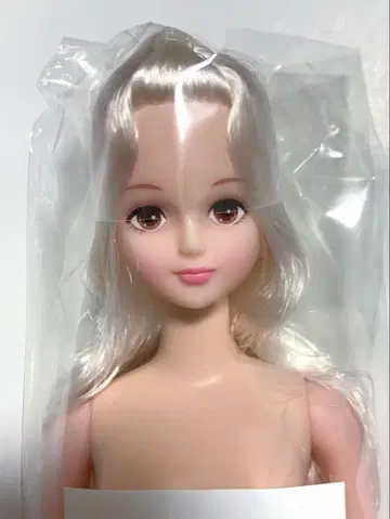즐거운 인형 시온 리카짱 캐슬
