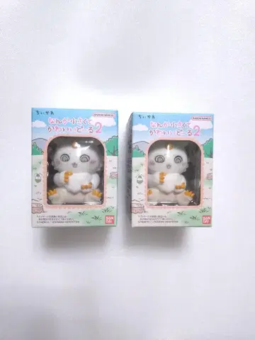 치이카와 그 아이