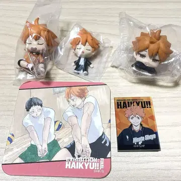 가격 인하 중 하이큐 히나타 쇼요 피규어 마그넷 코스터 5종 세트