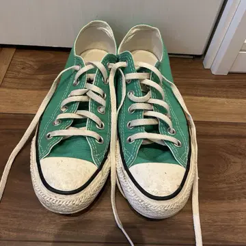 converse 오샤레 컬러 그린