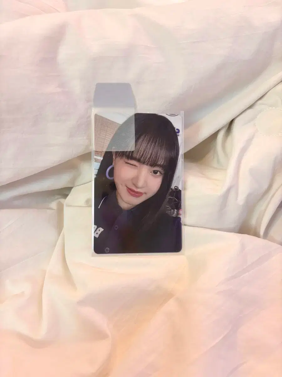 최저가)아이브 리즈 가을 원영 파파존스 포토카드 판매