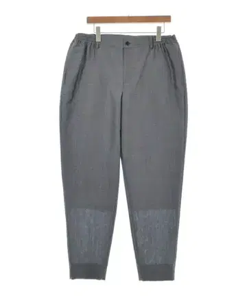 COMME des GARCONS HOMME DEUX 팬츠 (기타) 남성용
