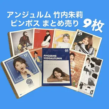 안쥬르므 타케우치 아카리 핀포스 묶음 판매 9장