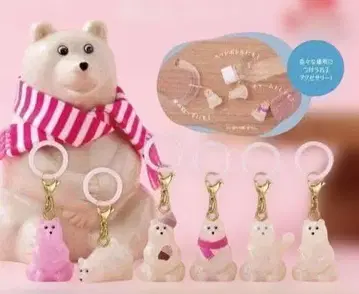 폴라 베어 가챠 컴플리트