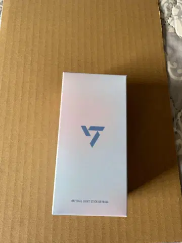 공식 라이트 스틱 SEVENTEEN mini