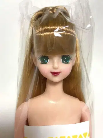 즐거운 인형 아야노 빨간 립 리카짱 캐슬