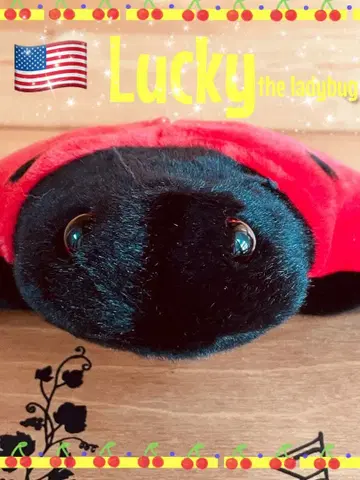 [ 구하기 어려움 ] ty 비니 베이비 봉제 인형 무당벌레 버디즈