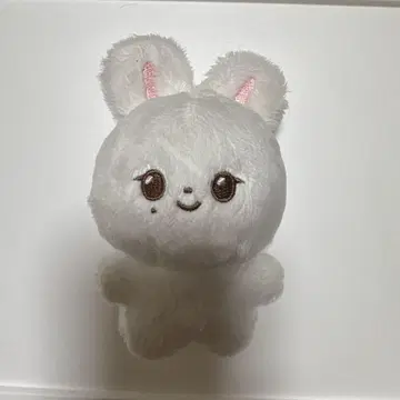 SEVENTEEN 정한 봉제 인형 인형 마스터 JJONGCOM