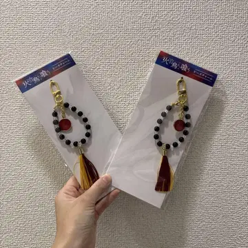 불을 먹는 새를 먹는 비즈 참 영화 극장판