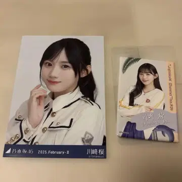 노기자카46 5기생 카와사키 사쿠라 브로마이드 캔뱃지