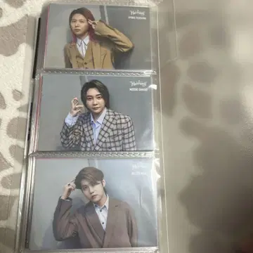 Mrs. GREEN APPLE Harmony 포토 카드 컴프