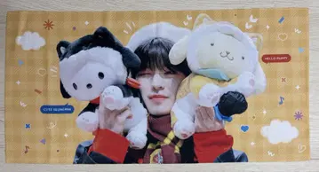 straykids 승민 슬로건