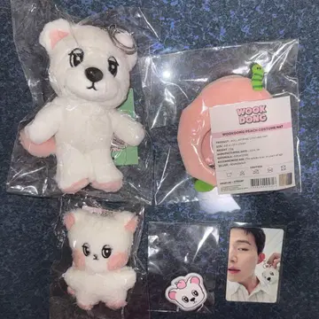 이동욱 봉제 인형 세트