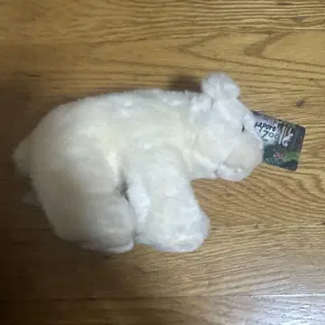 북극곰 봉제 인형 싱가포르 동물원