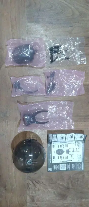 생물대도감 어드밴스 모렌캄프 대가부토