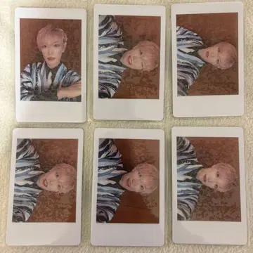 팬더 드래곤 타이거 하피카