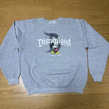 디즈니랜드 리조트 맨투맨 캘리포니아