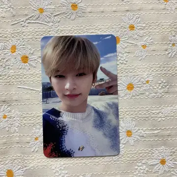 StrayKids Yellow Wood 트레이딩 카드 공개방송 리노
